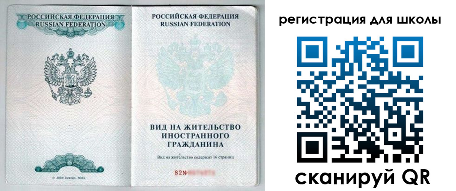 прописка гарантия в Владимире